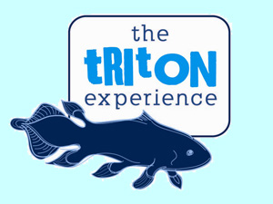 triton-dive-lodge-logo