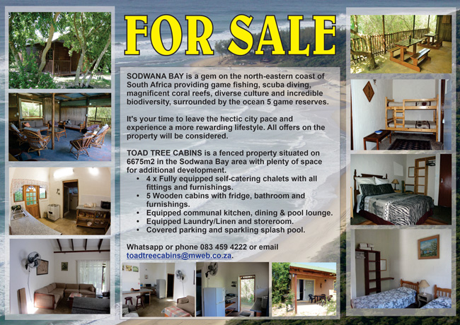 toad tree cabins for sale