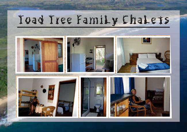 toad tree family chalet